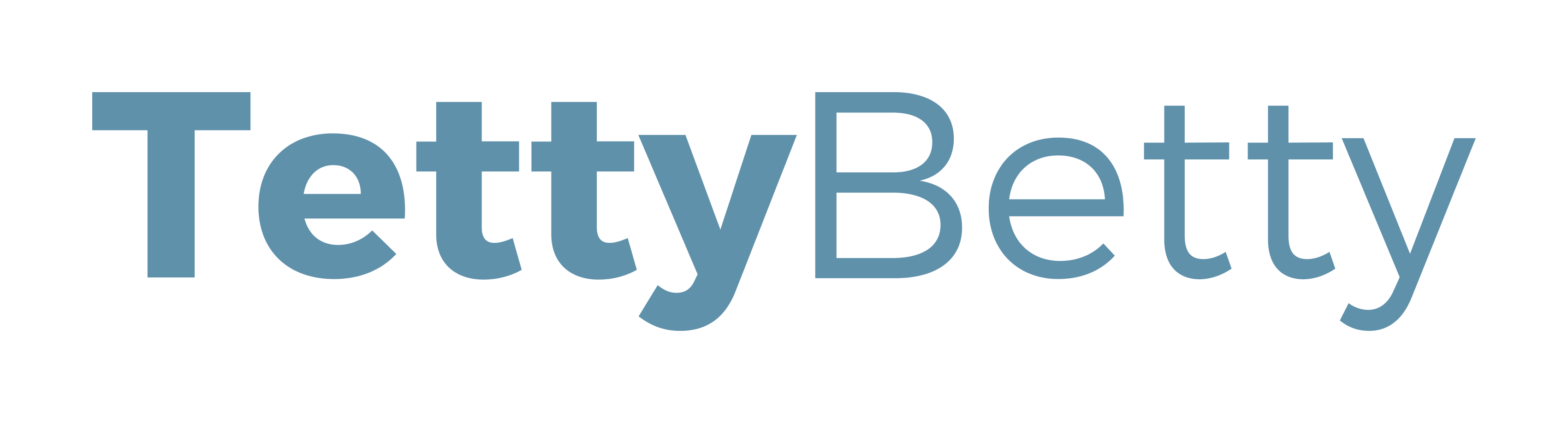 logo_transparent_background - TettyBetty