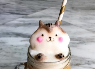 17-Year-Old Creates 3D Latte Art And It’s Too Cute To Drink