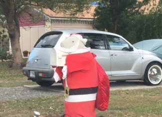A Guy Dresses Up His Manatee Mailbox and His Neighbor is Obsessed
