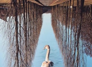 Artist Creates Amazing Optical Illusions With Photoshop