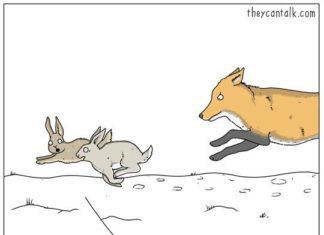 These Hilarious Comics Will Show You What Animals Really Think