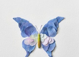 Raku Inoue Creates Exotic Butterflies Out of Flowers