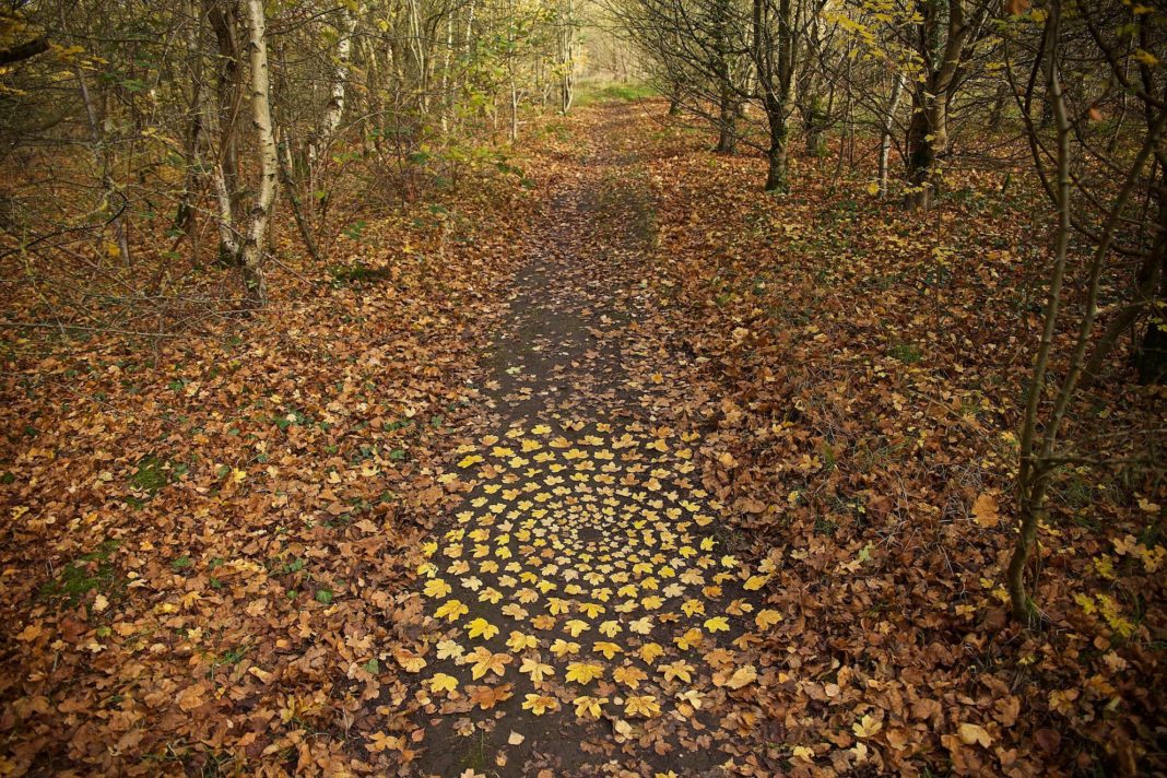 James Brunt Organizes Leaves And Rocks Into Elaborate Cairns And 