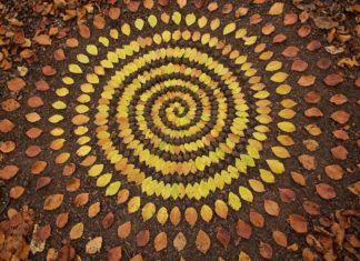 James Brunt Organizes Leaves and Rocks Into Elaborate Cairns and Mandalas