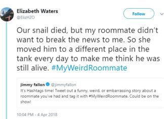 These Tweets Will Convince You That Having a Roommate is a Bad Idea