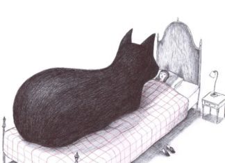 Virginia Mori’s Illustrations are Surreal And Just Slightly Morbid