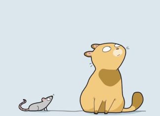 Sweet and Funny Illustrations About Life With a Cat
