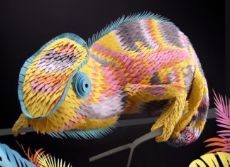 Hand-Cut Paper Sculptures of Plants, Insects and Animals