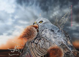 Josie Morway Shoots Awesome Portraits of Birds