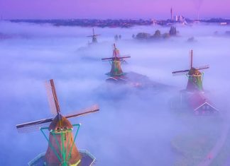 Check Out These Magical Photos of Dutch Windmills