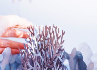 Russian Artist Creates a Pop-Up Homage to Her Favorite Book