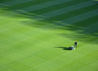 Man Wants to Visit all 50 States and Mow Lawns for Free