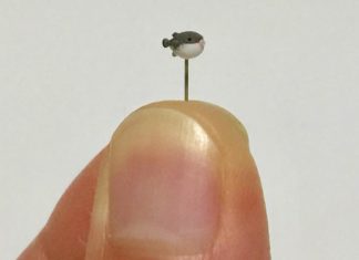 These Incredibly Tiny Animal Sculptures are Seen by a Magnifying Glass