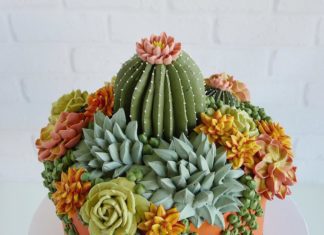 Tasty Cakes Decorated with Edible Succulents