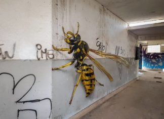 Portuguese Street Artist Unleashes Huge Insects in Abandoned Buildings