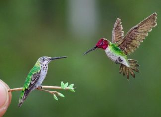 Two Artists Create One Miniature Paper Bird Everyday