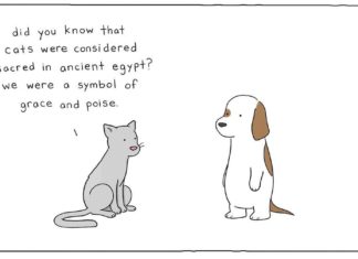 Adorable Animal Comics By Liz Climo