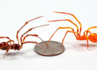 Wesley Fleming Makes Tiny Glass Insect Sculptures