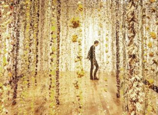 Artist Travels Around The World To Exhibit Her Beautiful Floral Showers