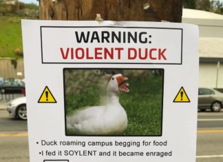 Man Trolls Neighborhood with Hilarious Fake Posters