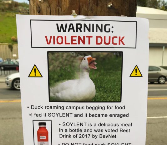 Man Trolls Neighborhood with Hilarious Fake Posters