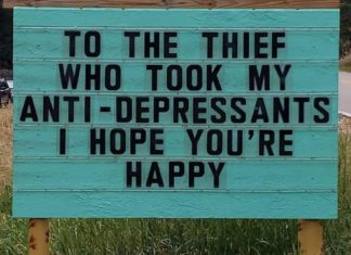 Colorado Mystery Man Creates the Funniest, Puniest Signs Ever