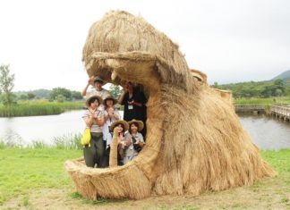 People Create Gigantic Straw Sculptures at Wara Art Festival in Japan