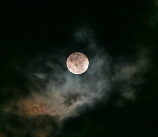 Japanese Billionaire Invites Artists to Go With Him to the Moon