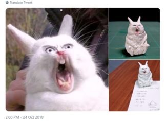 Artist Transforms Hilarious Animal Moments Into Amazing Sculptures