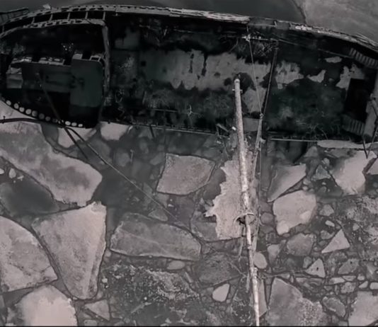 Moby’s New Music Video Shows the World If People Would Extinct