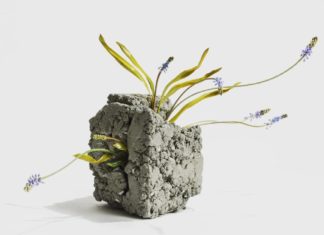 Glass Flower Sculptures Explore the Nature of Ephemerality