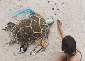 Woman Inspires People to Collect Litter and Transform it