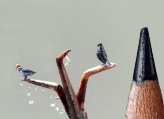 Artist Creates Miniature Birds That Are Smaller Than Pencil Leads