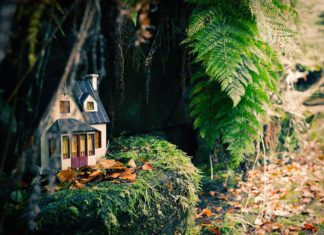 Tiny Fairy Houses Found on Isle of Man