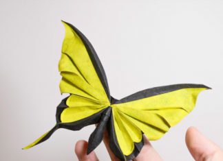Artist Creates Elaborate Origami Using Wet-Folding Technique