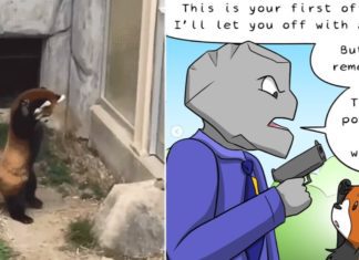 Artist Illustrates Funny Backstories for Popular Gifs