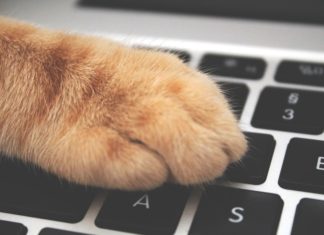 Check Out This Creative Way to Protect Your Keyboard From Cats