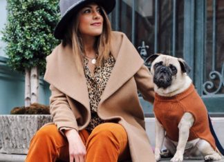 “Honey I Dressed the Pug”: the Most Fashionable Dog on Instagram