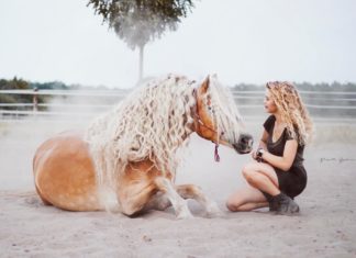 This Horse is Taking the Internet By Storm