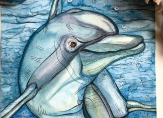 Ana Garner Creates Incredible Drawings of “Different” Animals