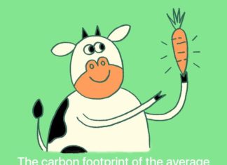 This Instagram Account Provides Only Positive News