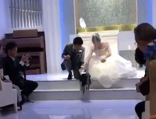 Adorable Dog Plays the Role Of Ring Bearer