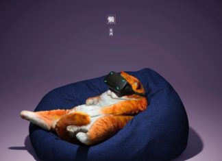 Animals Can Also Enjoy the Hobbies of Modern Humans