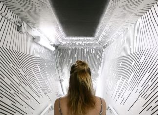 Artist Creates Remarkable Optical Illusion