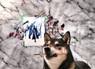 This Extraordinary Dog Loves Painting