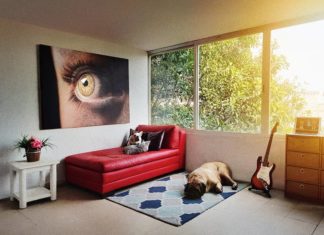 These Paintings Are So Detailed You Might Confuse Them As Photos