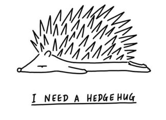 Artist Creates Moody Animal Puns to Show That Being Sad is Okay