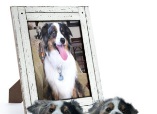 This Company Creates Custom Animal Slippers That Look Exactly Like Your Pet