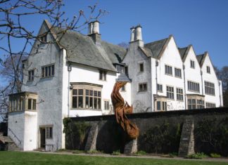 Artist Uses Willow Branches to Create Abstract Artworks