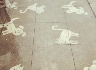 Rain-activated Art Becomes Trendiest New Form of Art